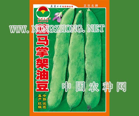 蓝马掌油豆